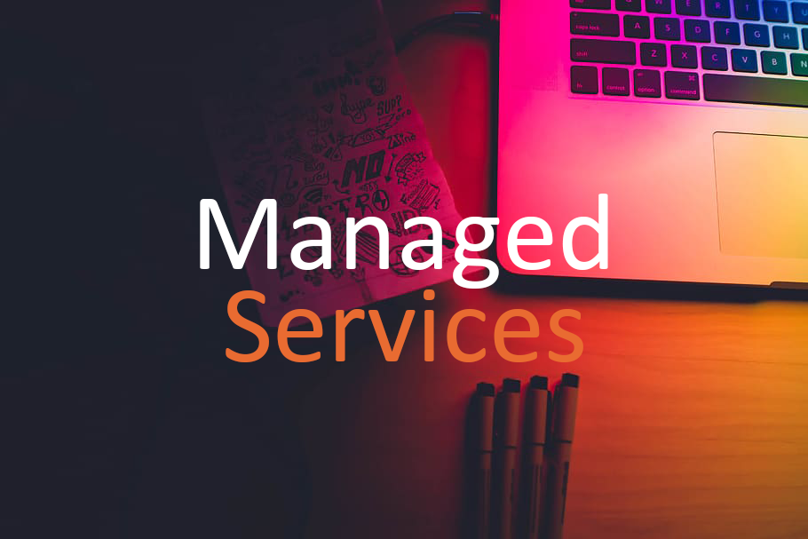 Servicii de Management