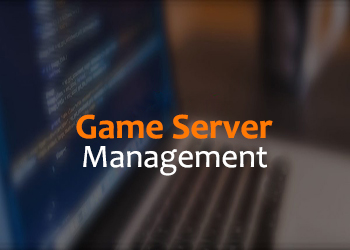 Administrarea Game Server